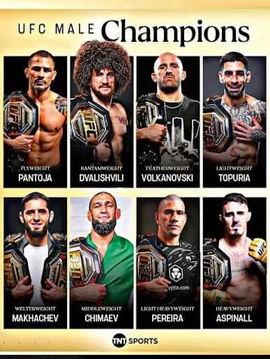 UFC Fight Night